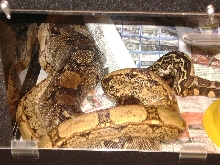Arab het lipstick and Poss Super Ghost