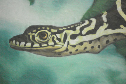 varanus3
