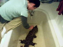Bath Time