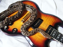 Dumerils Boa-Gibson SG