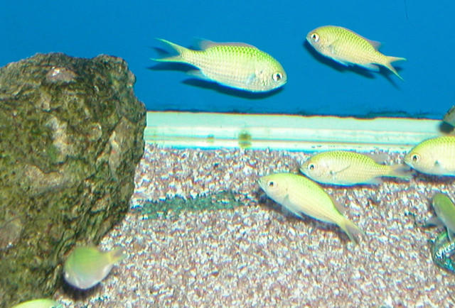 Saltwater Photos