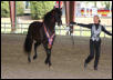 Guarapo - Grand Champion Stallion