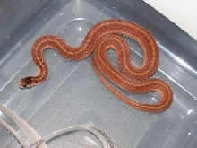 What is this?
