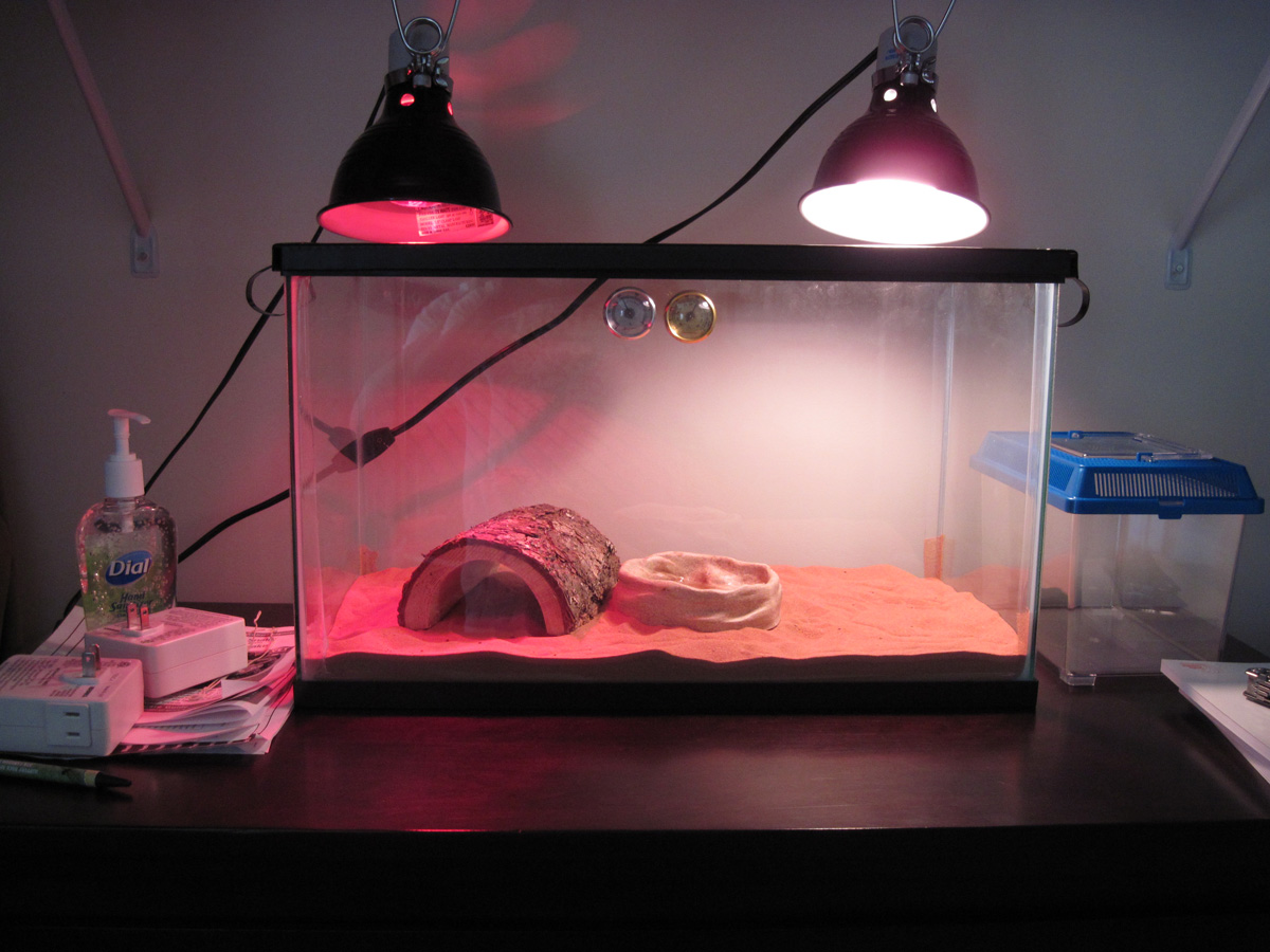 KSB Enclosure