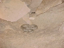 Sanderson Lepidus