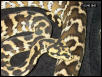 Irian Jaya Carpet Female #1