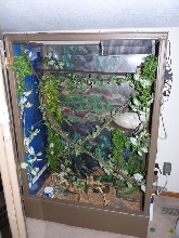 Damien's Cage