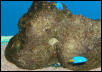 Saltwater Photos