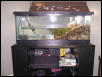 new tank setup