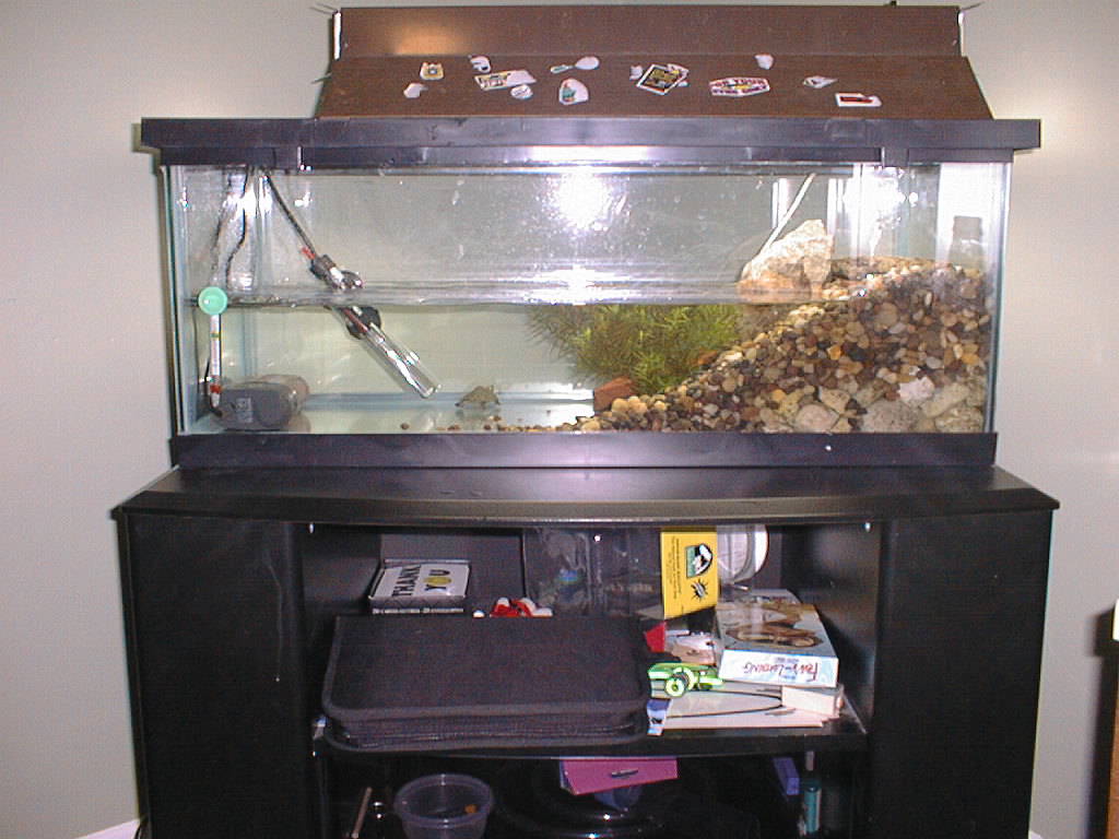 new tank setup