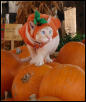 Halloween Pumpkin