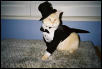 Puttin on the Ritz..