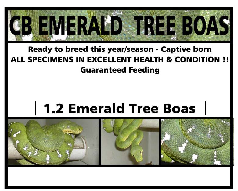 My 1.2 CB Emeralds