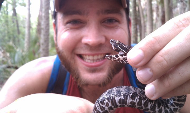 Pygmy