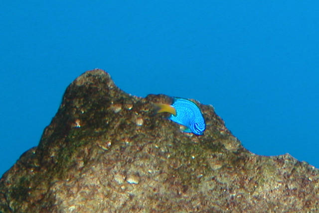 Saltwater Photos