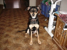 Coby