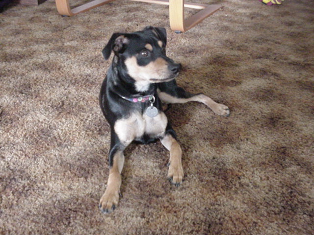 Riley