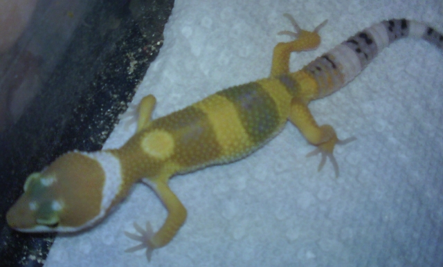baby 2