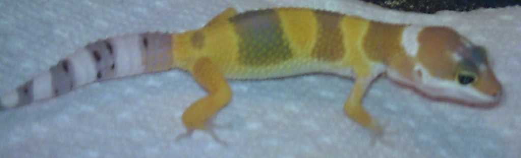 baby 1