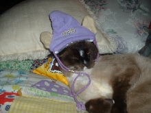 Smokey as Dopey