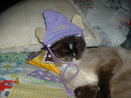 Smokey as Dopey