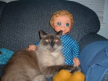 Sammy the Siamese with Mrs. Beasley