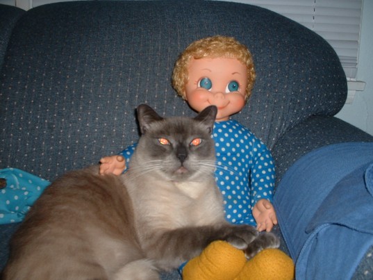 Sammy the Siamese with Mrs. Beasley