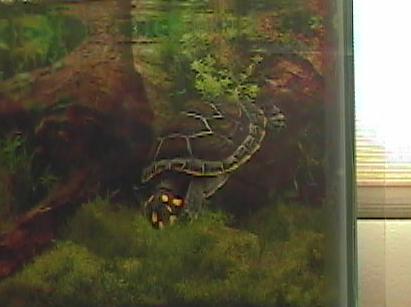 YSARTurtle