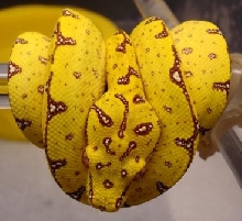 11-6 5/6/15