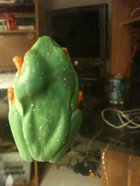 RETF Back View