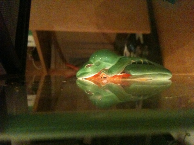 RETF Side View