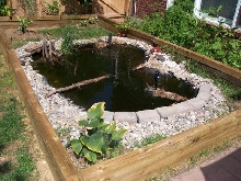turtle pond