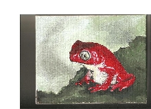 Red Monkey Frog Phyllomedusa atelopoides