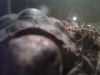 I see you
