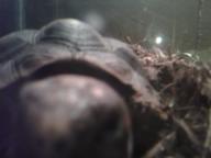 I see you
