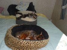 Zade on the bed with Grizz