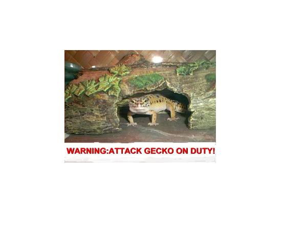 attack