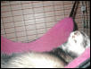 Mocha Chillin