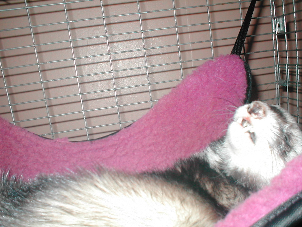 Mocha Chillin