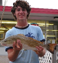 Andy Maddox