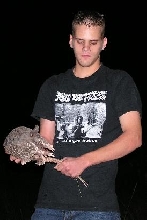 armadillo