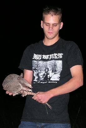 armadillo