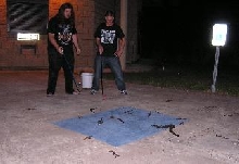 cottonmouths!