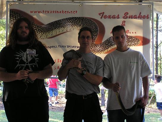 texas snakes and more