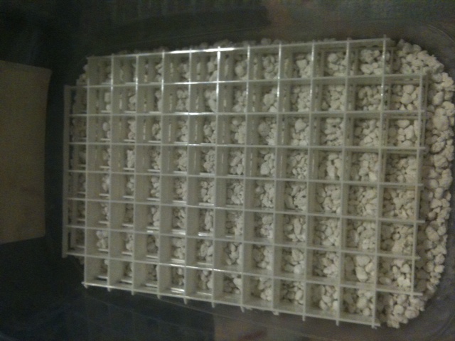 Eggcrate