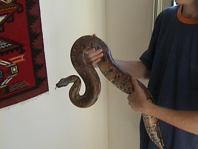 my blood python3