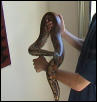 my blood python4