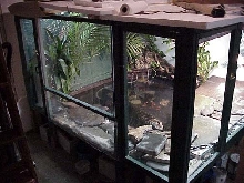 croc cage