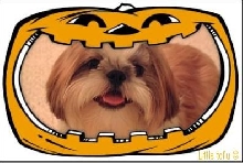 Hall-o-Ween