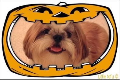 Hall-o-Ween